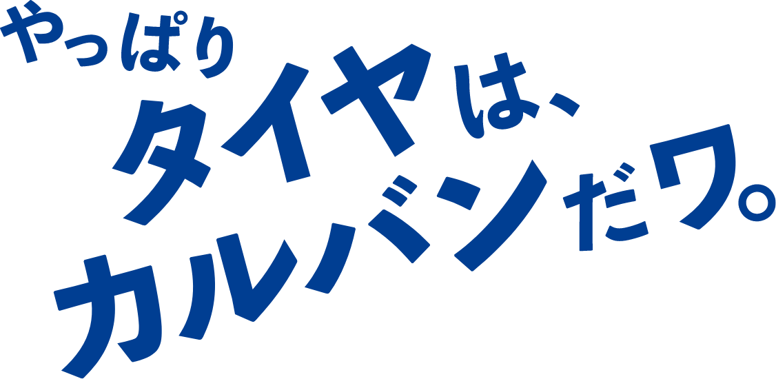 やっぱりタイヤはカルバンだワ。